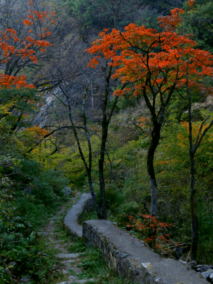 自驾山野,户外赏秋,休闲漫步……一起收藏秋天的浪漫~!