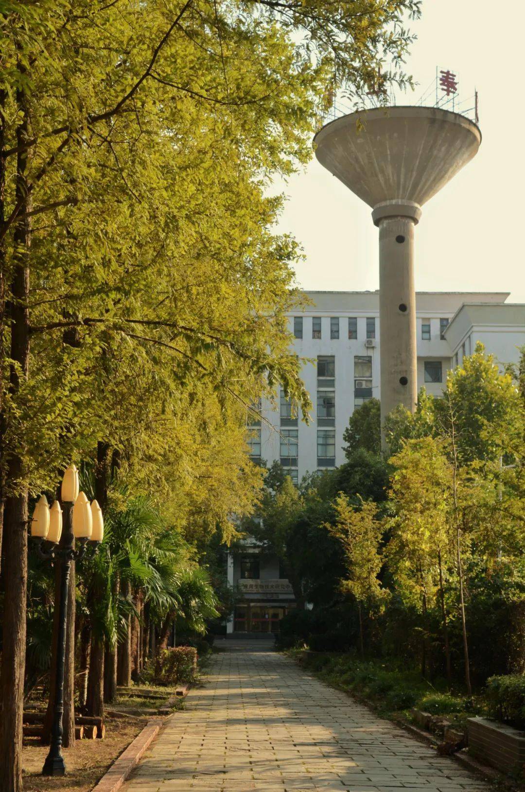 宋士达 李朝辉等东北石油大学江苏大学 教师杨雨苏瑞淇 北大校友摄影
