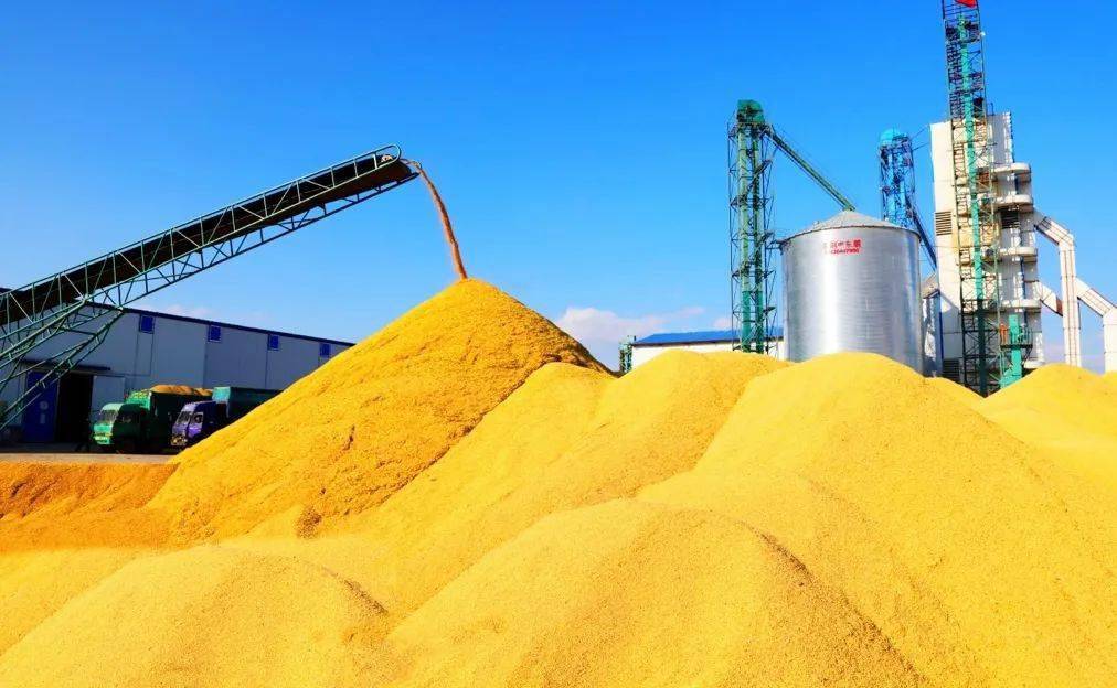 发 于航 摄)丰歌齐奏(央广网发 韩松森 摄)丰收的粮食堆满仓(央广网发