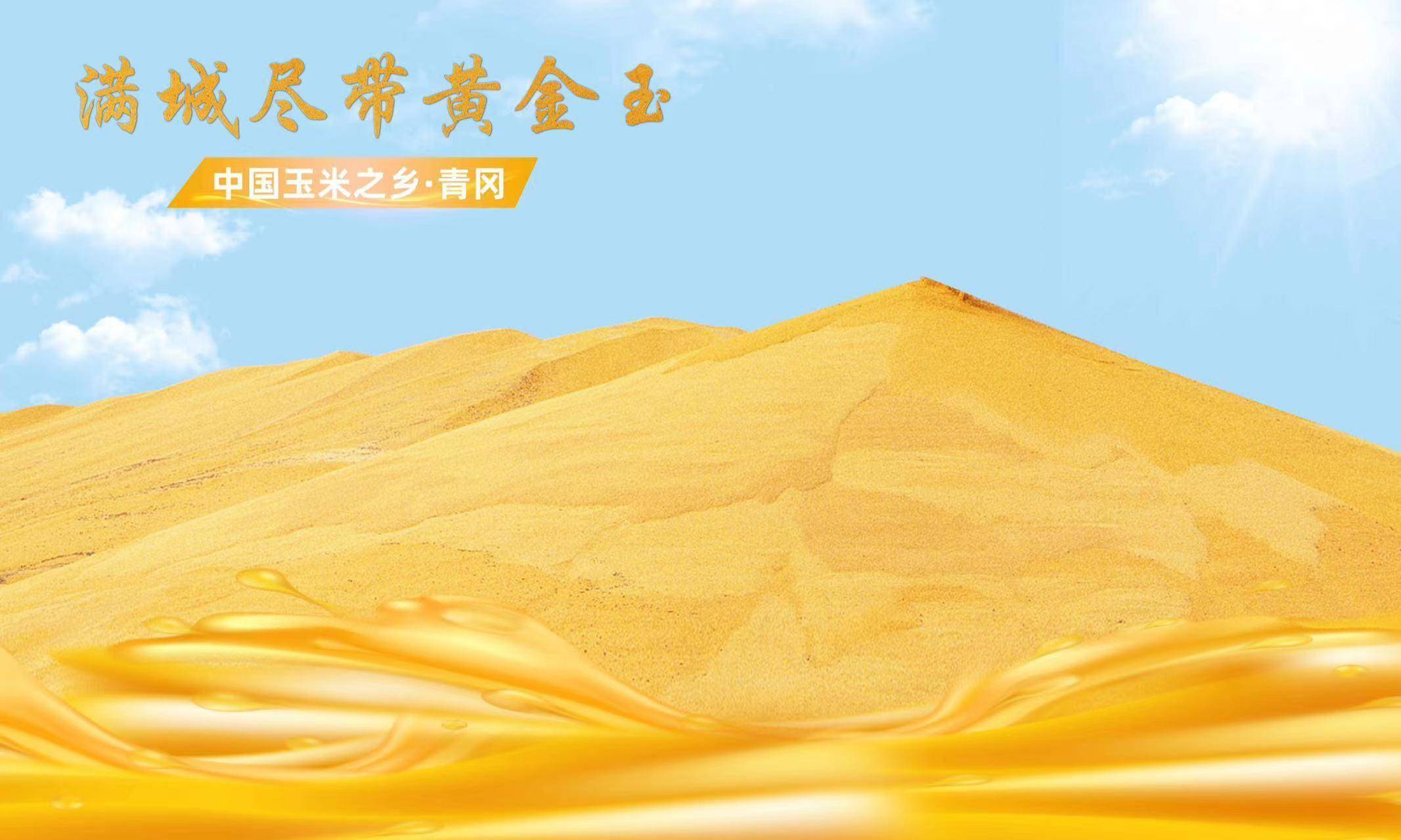 孙国文:诚邀粤港澳大湾区企业家到青冈投资兴业_青冈县_产业_谋发展