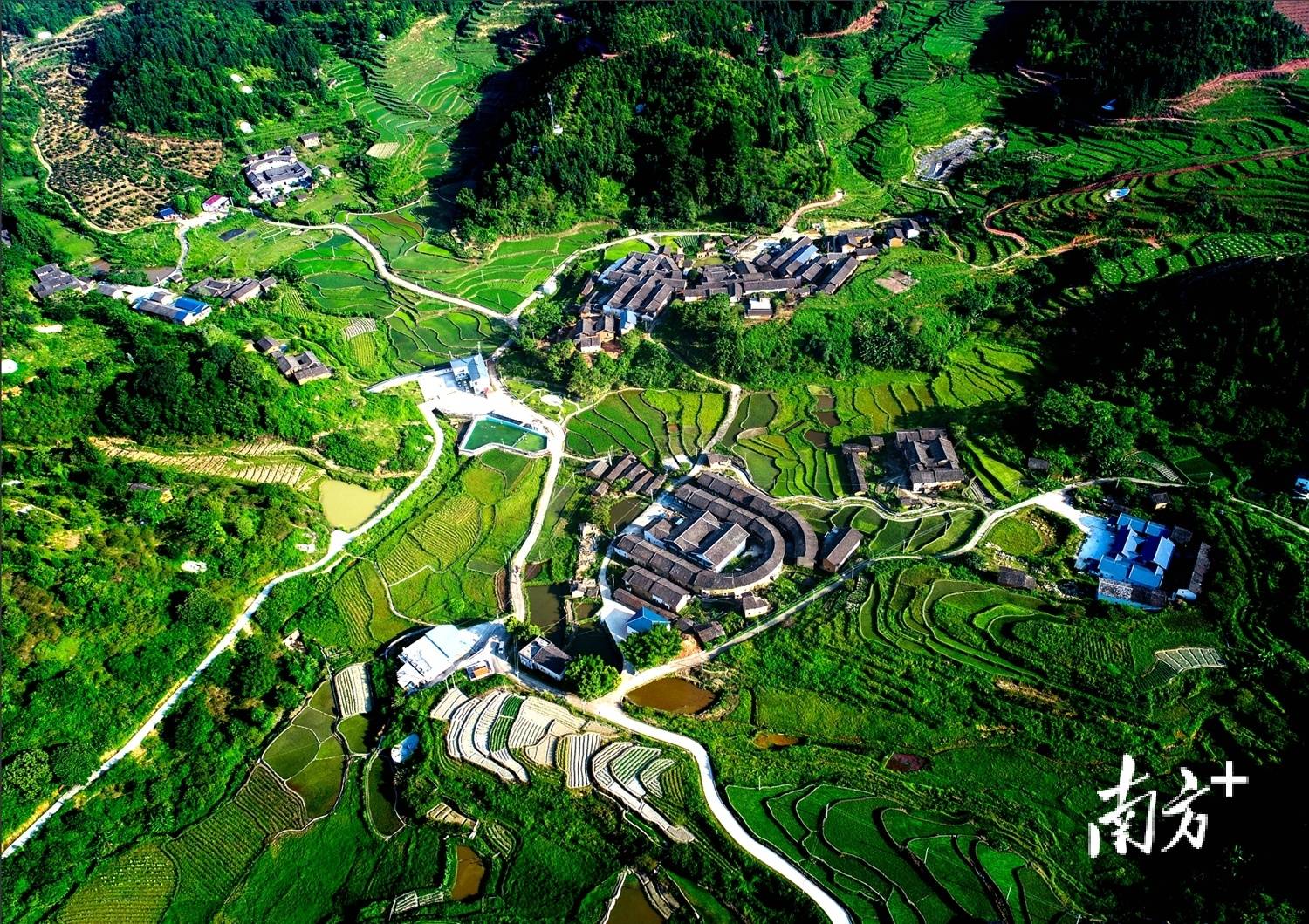 梅县区松源镇:昔日"西伯利亚"如何蝶变"香格里拉"|竞跑百千万·梅县镇