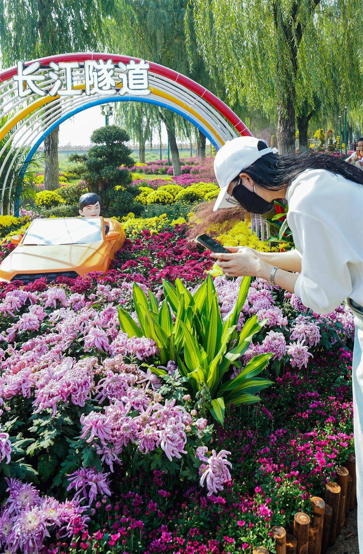 非遗绝技藏身立体扎景,菊展更漂亮_菊花_武汉_满天星