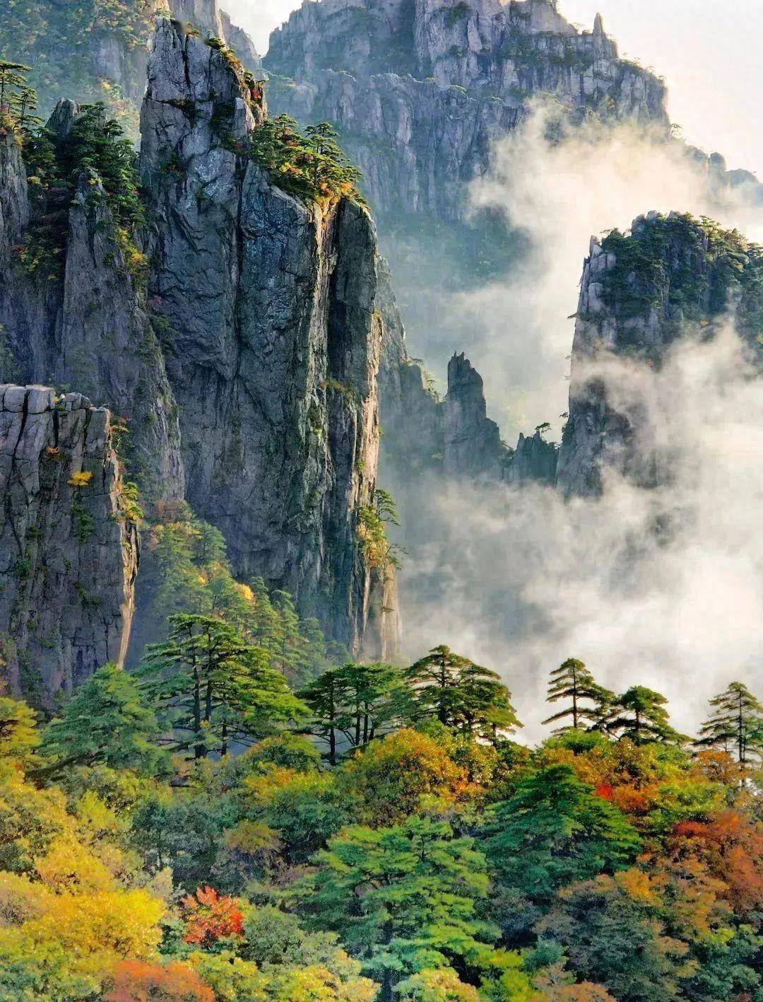 此刻黄山,万山层林染,峡谷秋意浓_西海_索道_玉屏