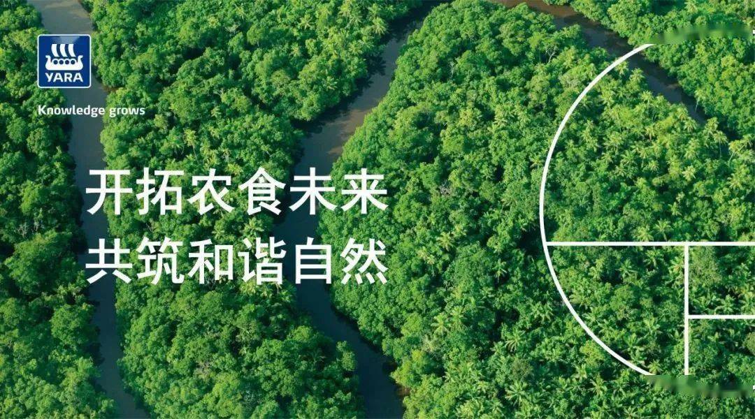 全球_作物_试验