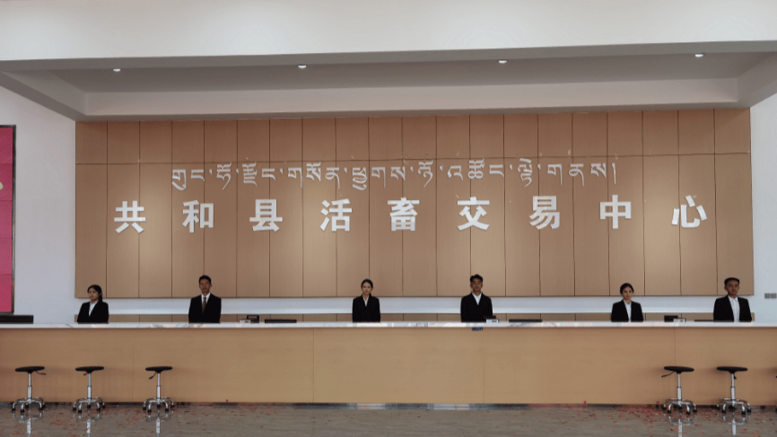 青海省海南州共和县:活畜交易中心成为农牧民增收新"引擎"_服务_牛羊