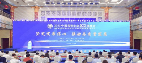 中国民营企业排行_2023中国民营企业500强榜单(完整版)