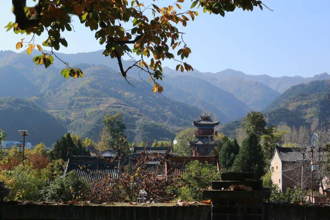 多彩商洛 | 秋天的棣花古镇,是被上帝遗落的调色板_满池_荷叶_金色