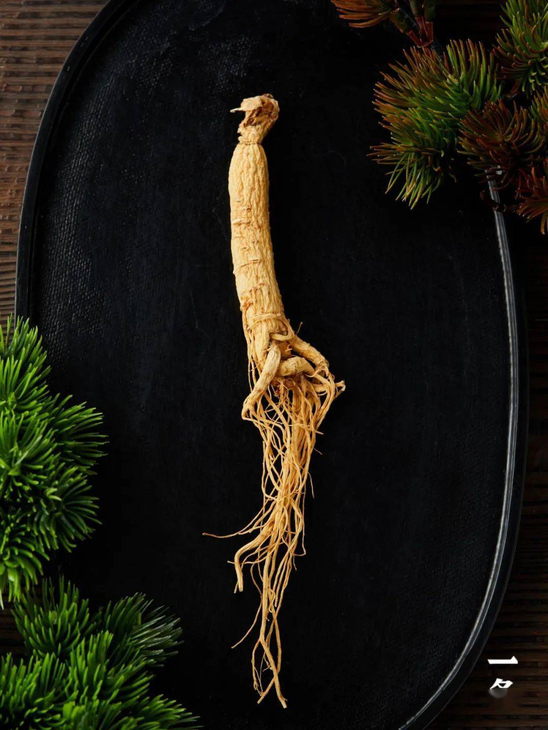 精选长白山林下参,5年以上参龄,参味浓郁,滋补佳选!_人参_自然_定金