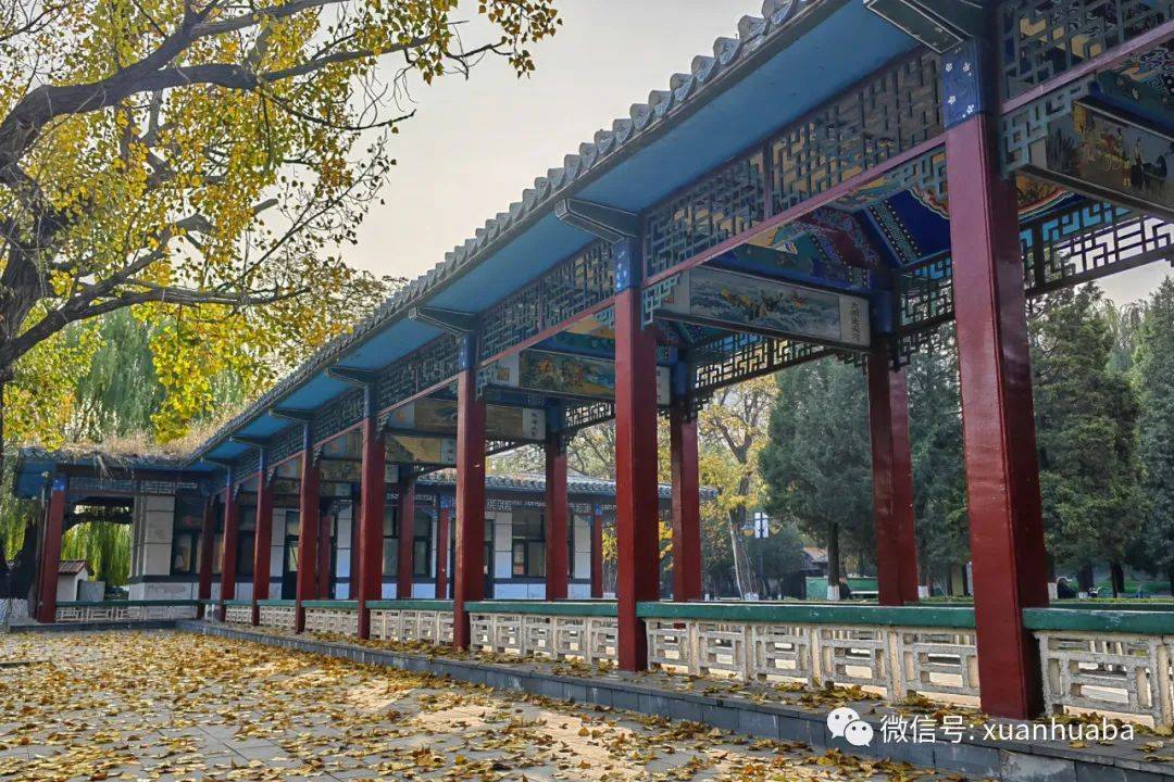 宣化人民公园深秋美景上线,打卡古城最美秋色!_生活_湖面_宁静