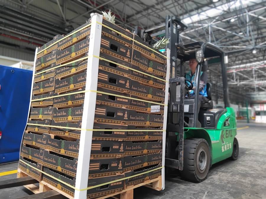 完美电竞非洲贝宁菠萝实现最快输华力争一年30万吨！进博会成进口水果最“卷”现场(图2)