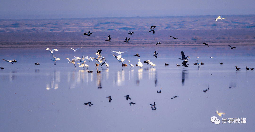 【白银文旅】景泰白墩子盐沼国家湿地公园:追寻"漫"时光_湖水_显得