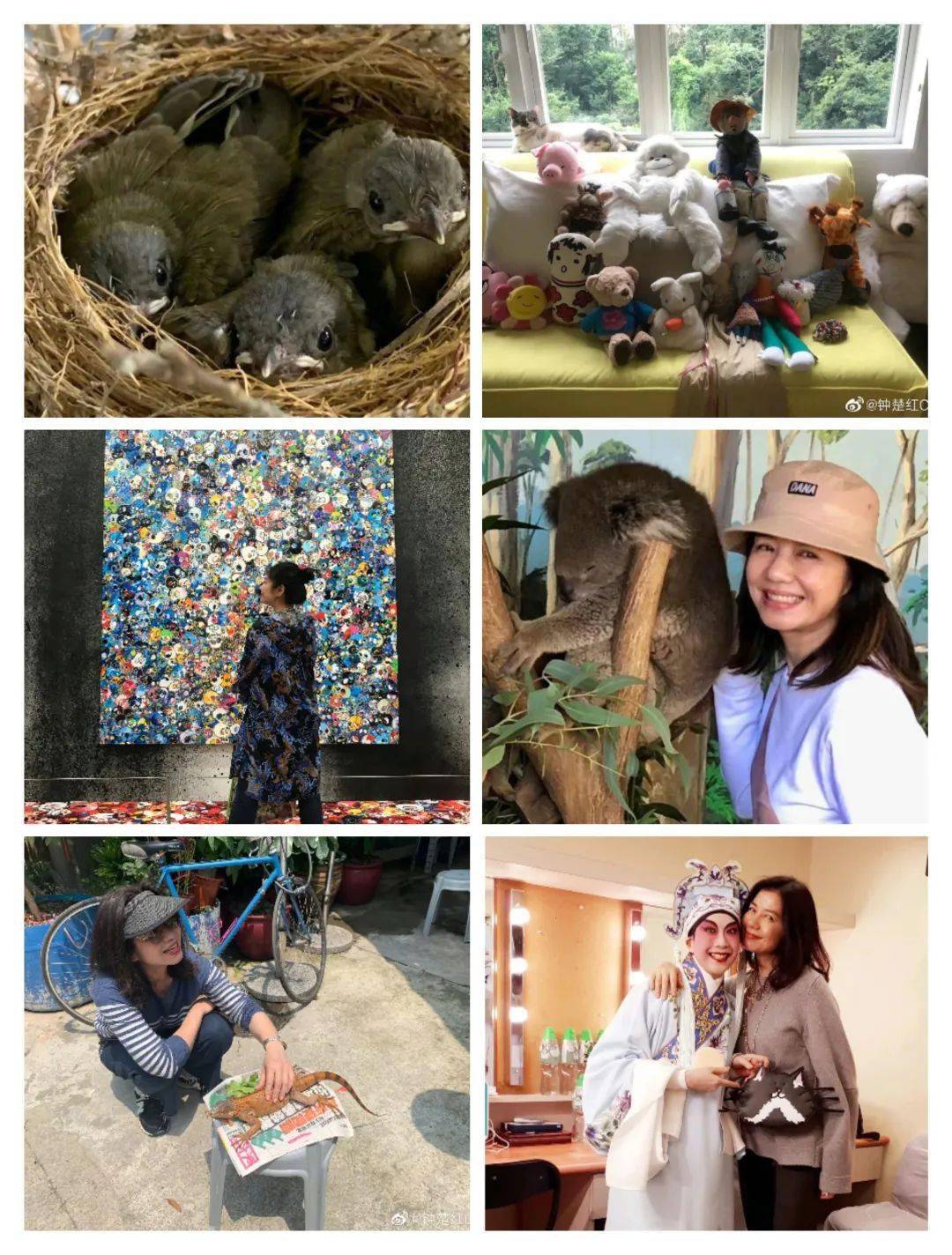 钟楚红_周润发_香港