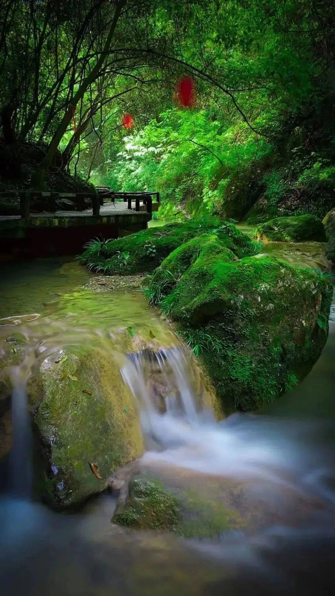 免门票!这些人的专属福利来啦!_景区_安康_瀑布
