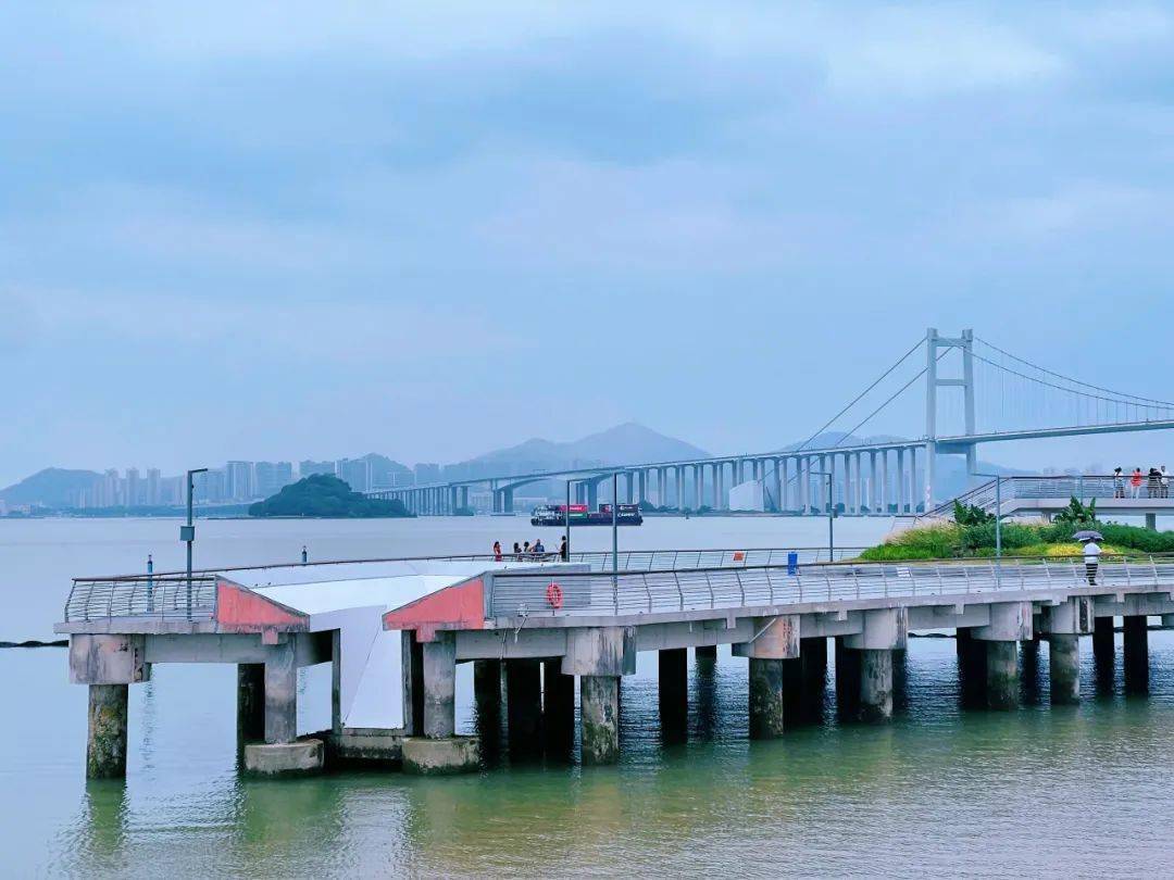 虎门这片沙滩,开放了!_区域_东莞_综合