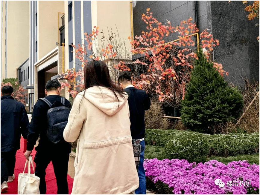 房地产市场_项目_嘉阳