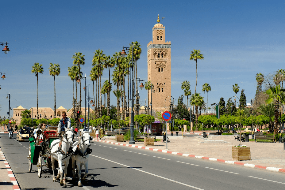 在马拉喀什,搭乘马车巡游这座红色之城,是一种不同凡响的体验.