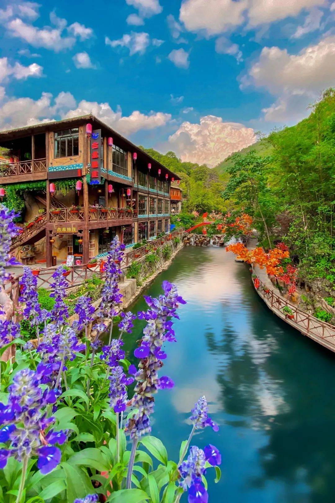 观天子山瀑布,游古龙峡网红河谷,升级入住清泉湾爱琴海酒店,畅泡养生