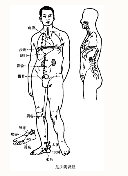 10手少阳三焦经常用腧穴 11足少阳胆经常用腧穴 12足厥阴肝经常用腧穴