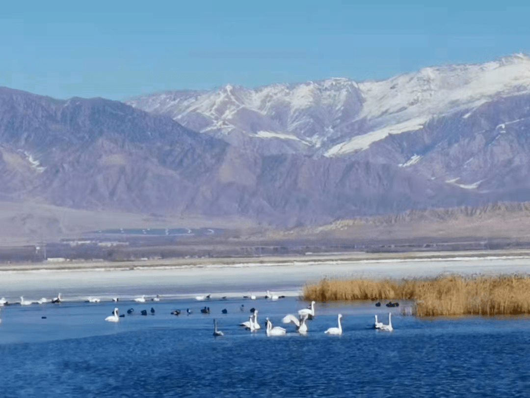 海西州乌兰县都兰湖入选国家重要湿地名录_保护_全力_青海