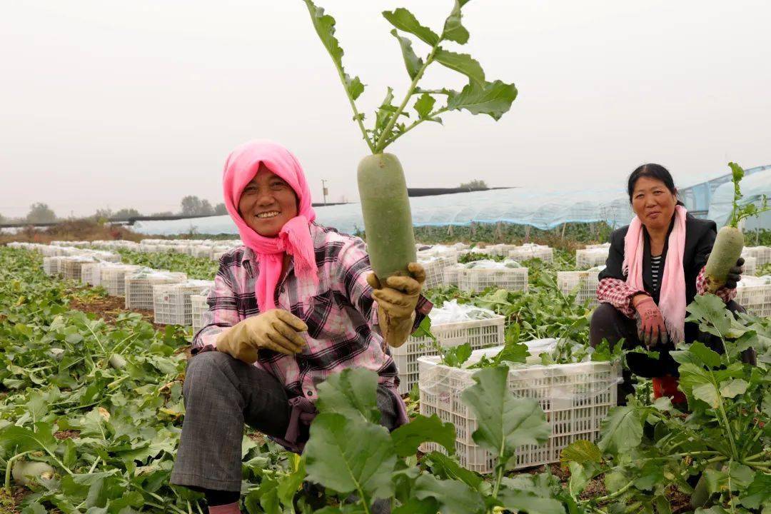 郭绍祥_口感_嘎巴