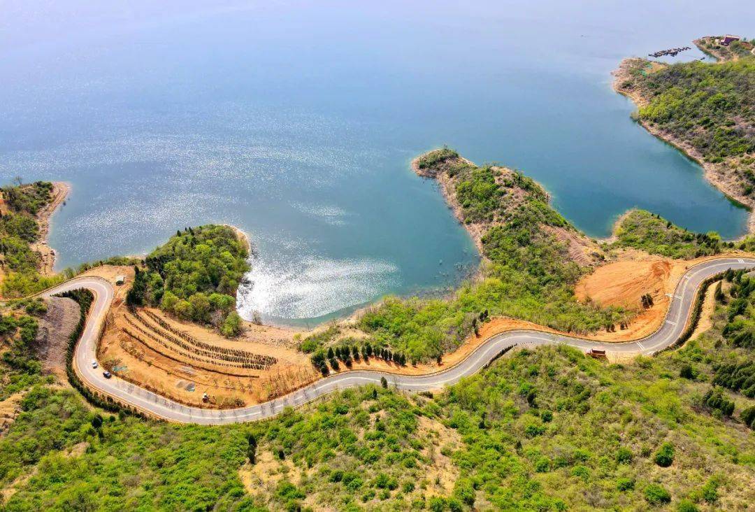 河南沿黄生态廊道一期工程通过交工验收_施工_旅游_项目