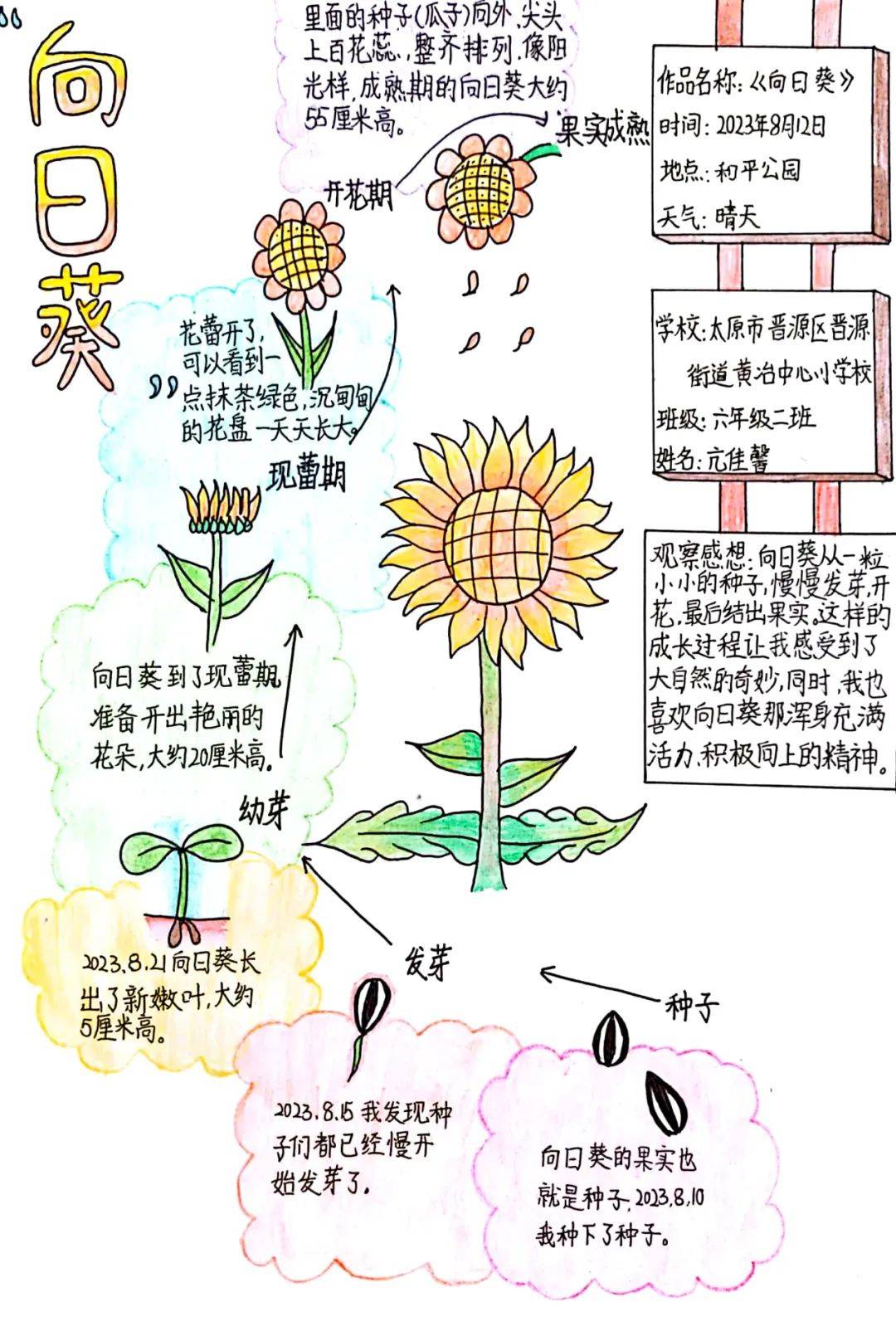 山西省青少年一起向自然2023年生物多样性自然笔记征集活动获奖作品