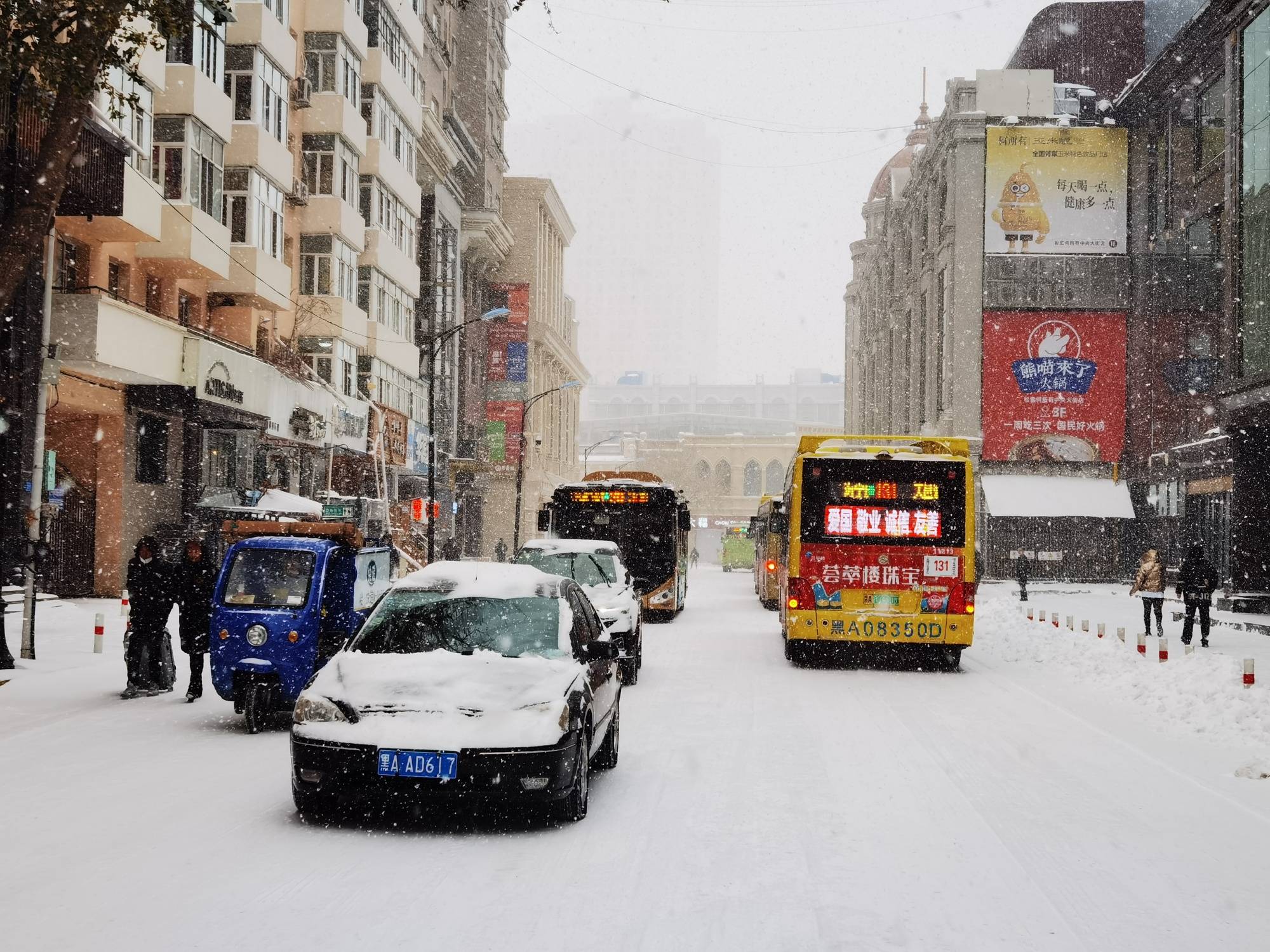 组图直击|大暴雪！黑龙江哈尔滨鹤岗等多地降雪猛烈-第8张图片-太平洋在线下载