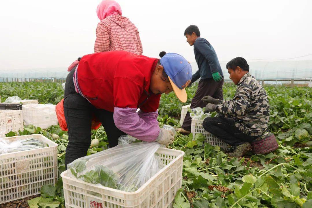 郭绍祥_口感_嘎巴