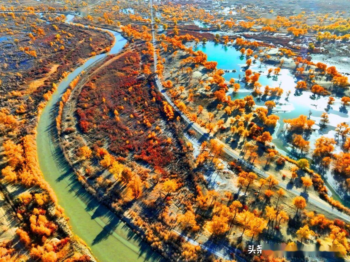 新疆尉犁县:天空之眼看罗布人村寨,壮美如画_胡杨林_湖泊_河流