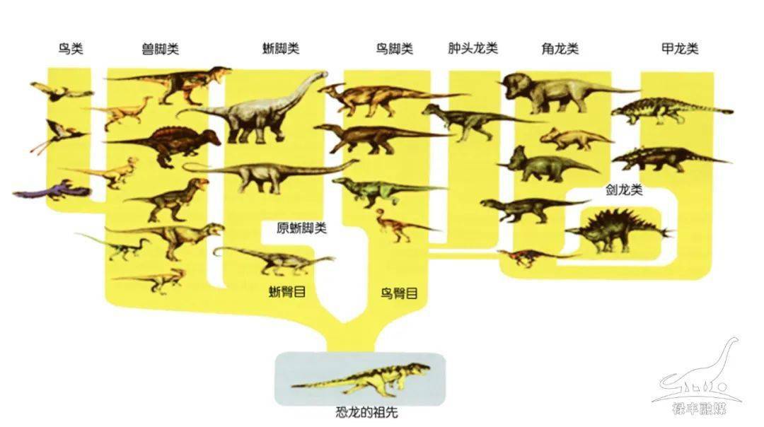 侏羅紀_進化_地區