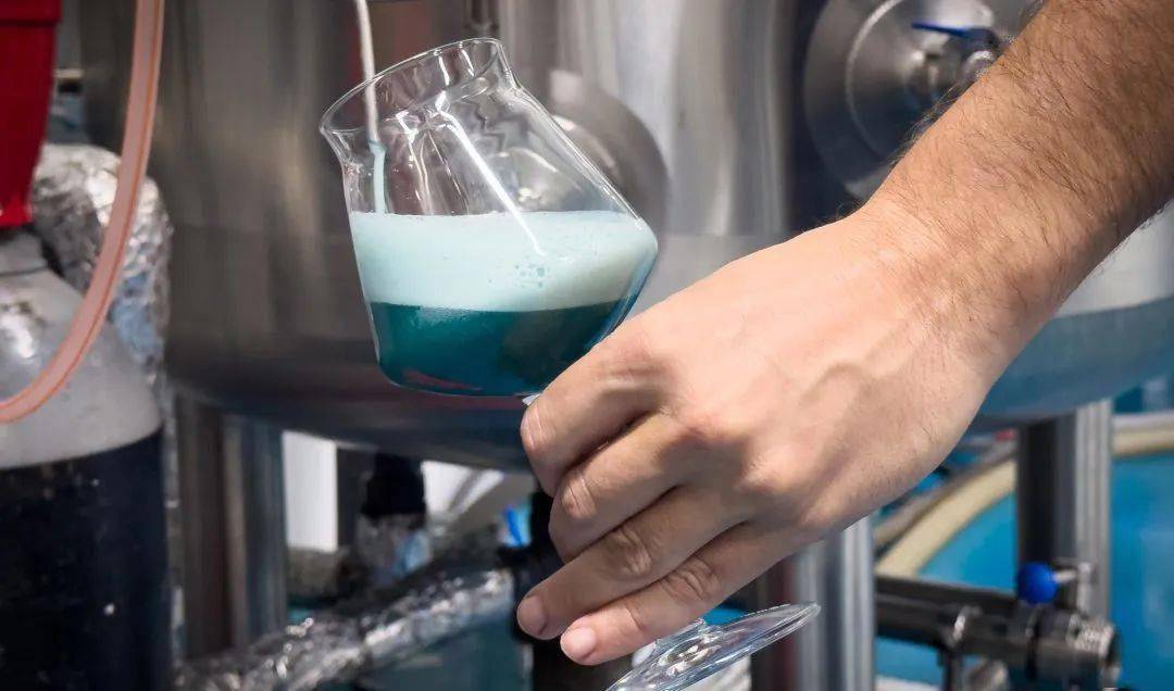 蓝色且非常美味:这是巴塞罗那生产过的最奇特的啤酒之一_blau_zun