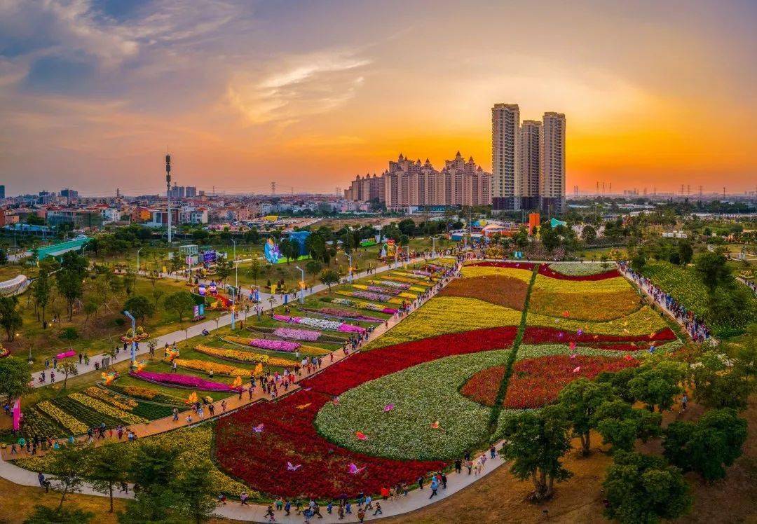 【国旅自组】99元"花情秋韵 雅致菊城"2023年中山小榄菊花盛会,"中国