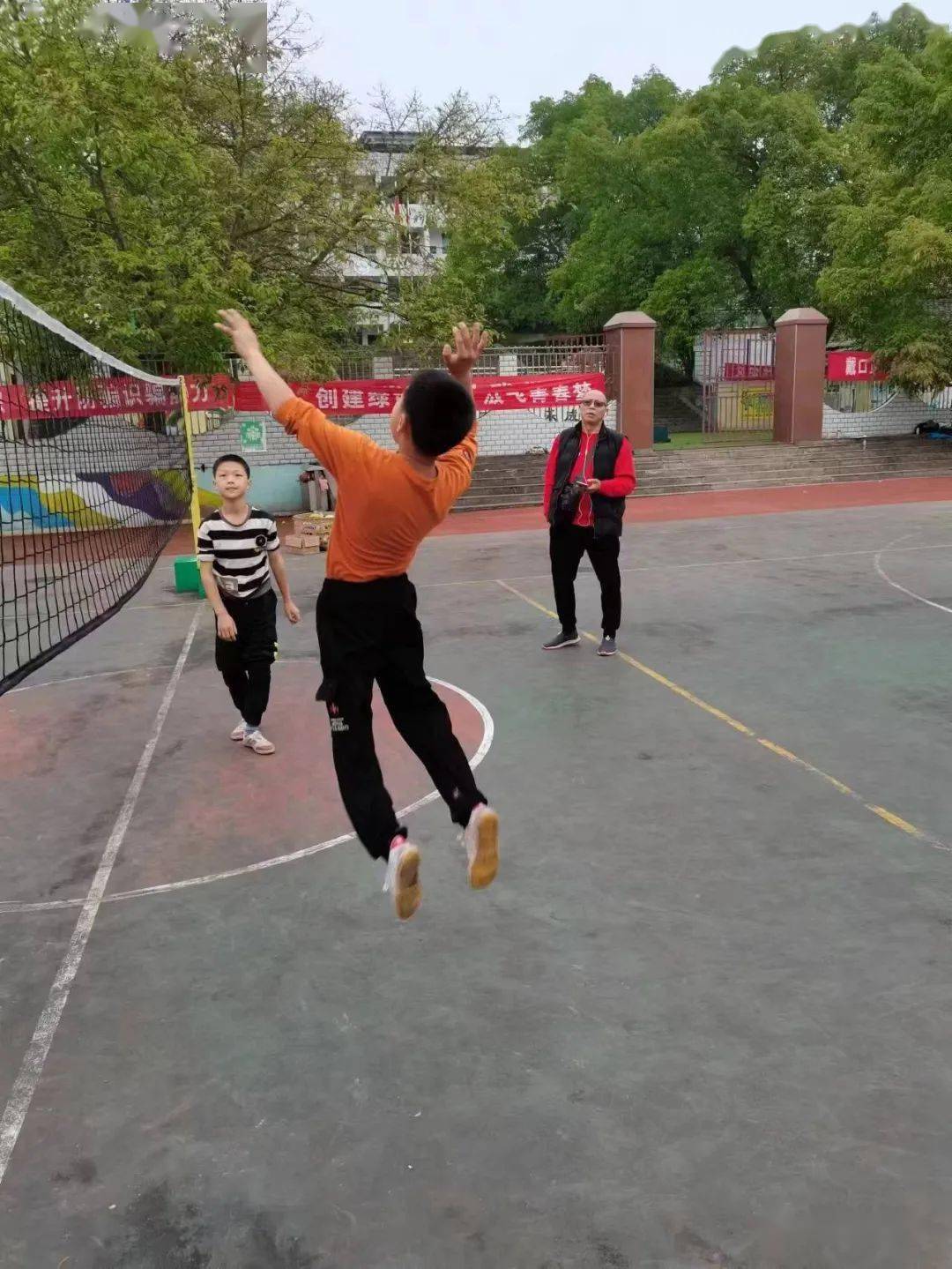重庆潼南青云小学所发生的"排球奇迹"_训练_年级_比赛