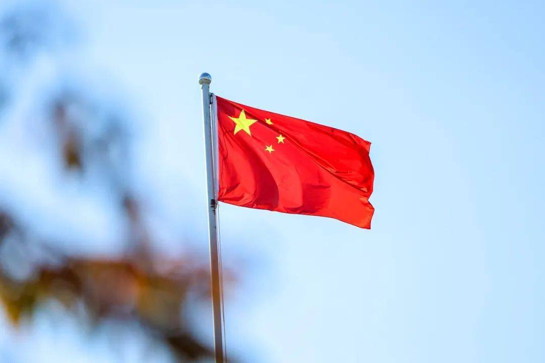 王禹_冬日_落叶