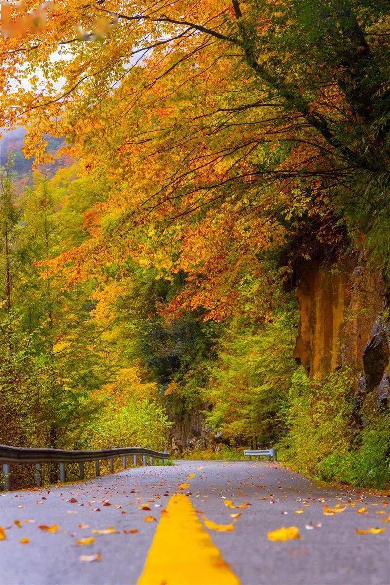 秦岭_国道_黄花岭