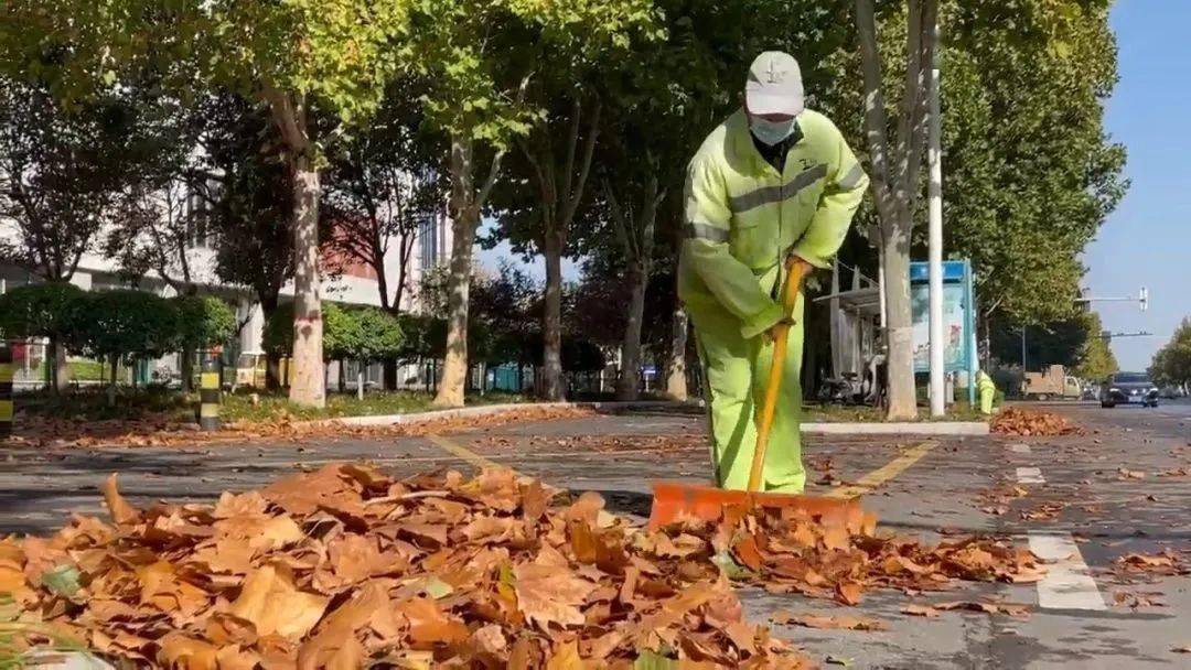 凌晨3点,他们却走上临淄街头!_落叶_作业_环卫