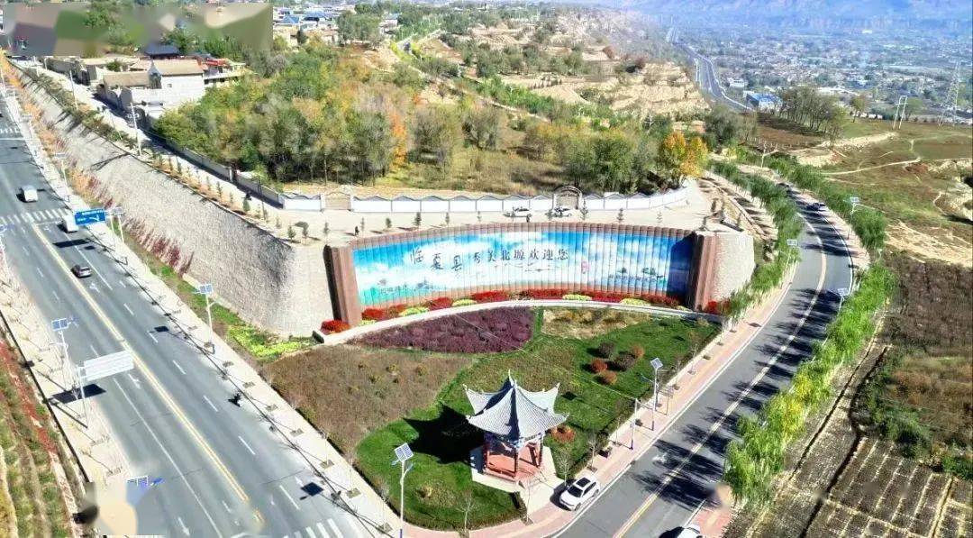 临夏县北塬镇:植树添新绿 乡村增颜值_崔家_云杉_环境