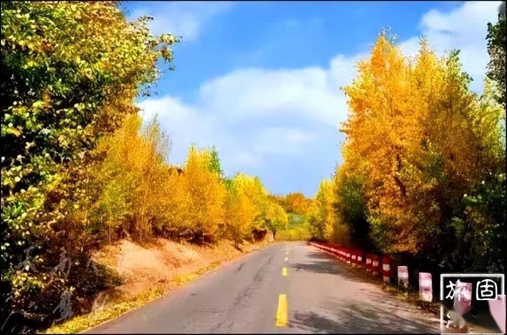 都说宁夏秋天最美的公路在六盘山,而且不止一条!_道路_景区_泾源县