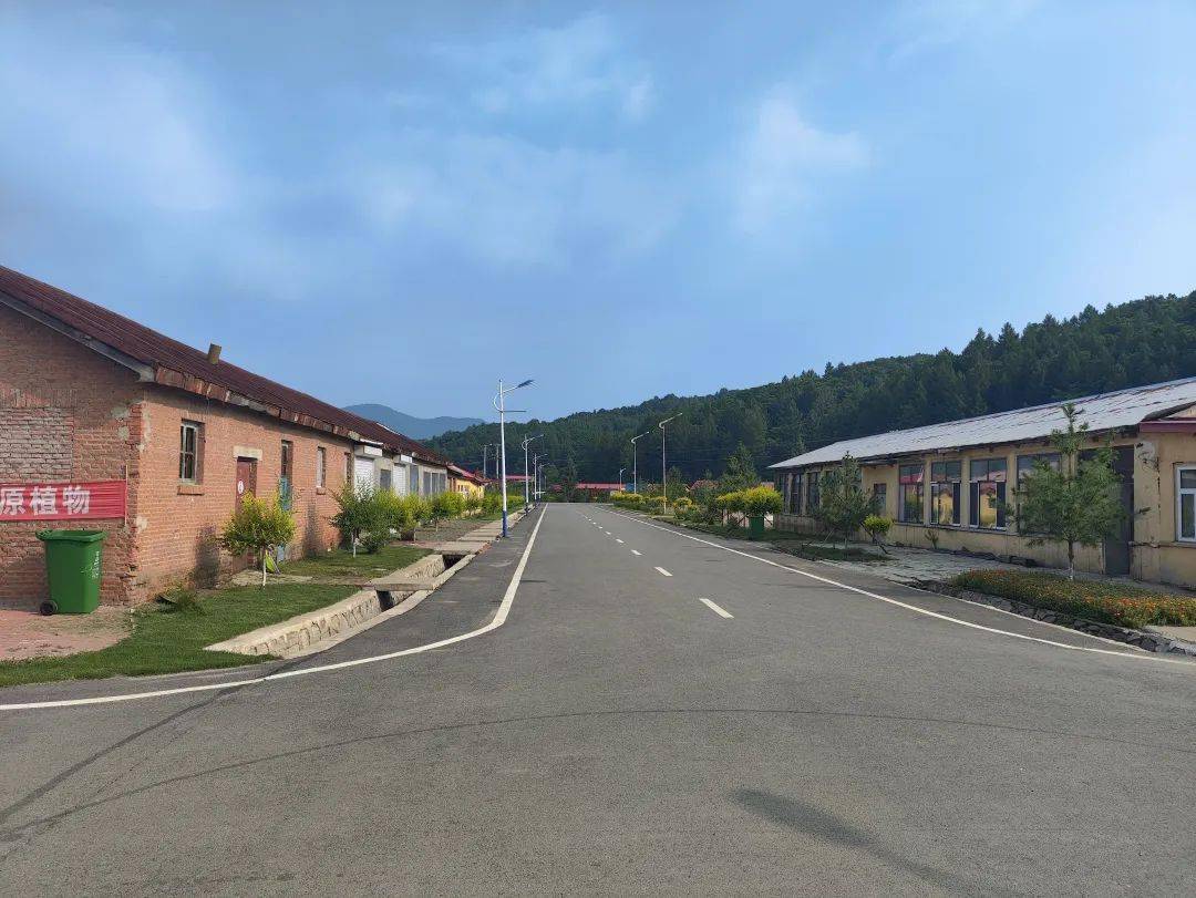 【生态立企】铁山林场：加强生态文明建设 擦亮美丽山河底色