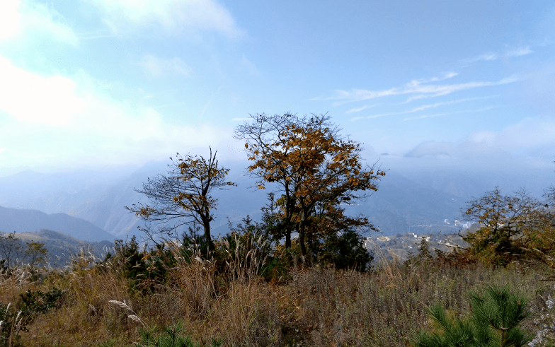 走进镇安|镇安县海棠山:云海缭绕 美景如画_安融媒_吴相阳_杨建东