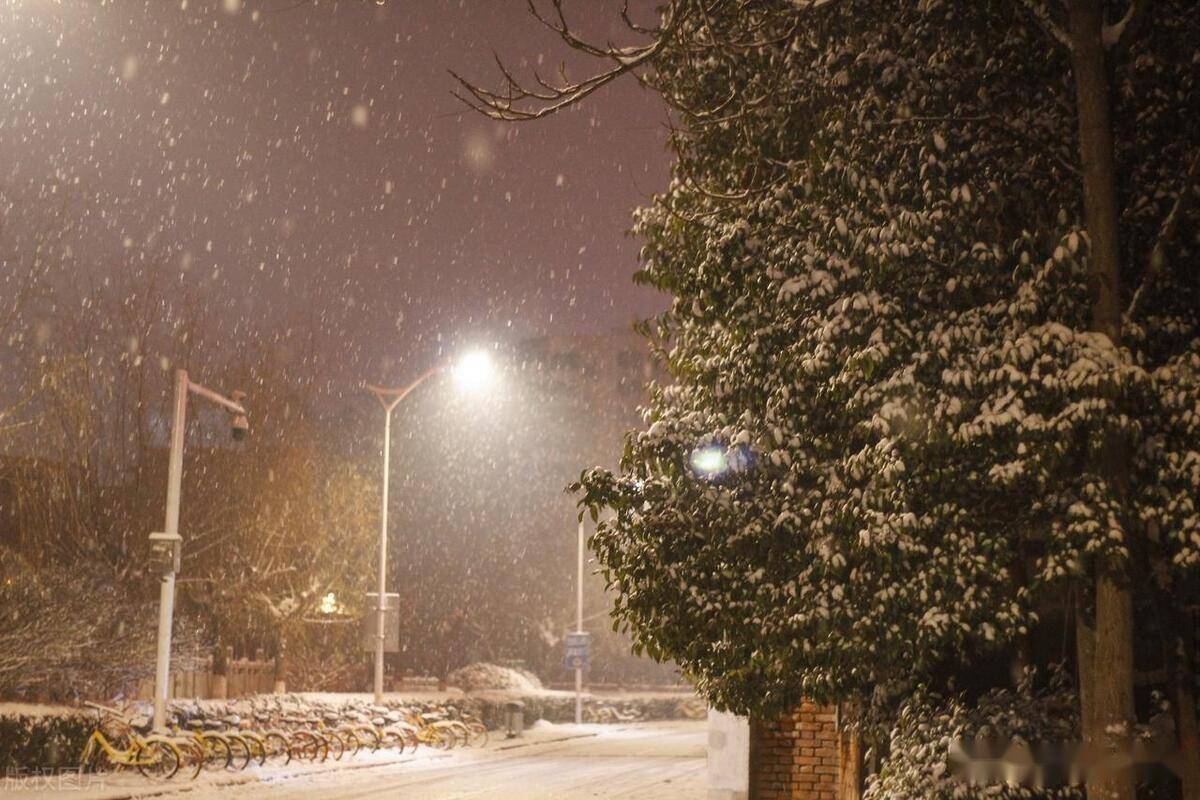 飘雪的冬天