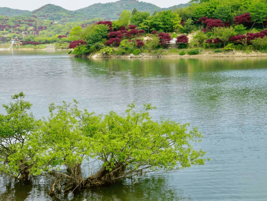 天平山/栖霞坑古道/九溪十八涧等你来觅秋色_亮点_班期_坐标