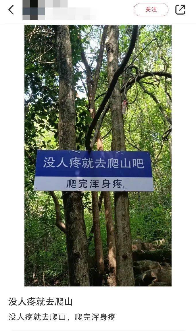 这块"没人疼"路牌火了,网友:哪的山,高低得爬一下!