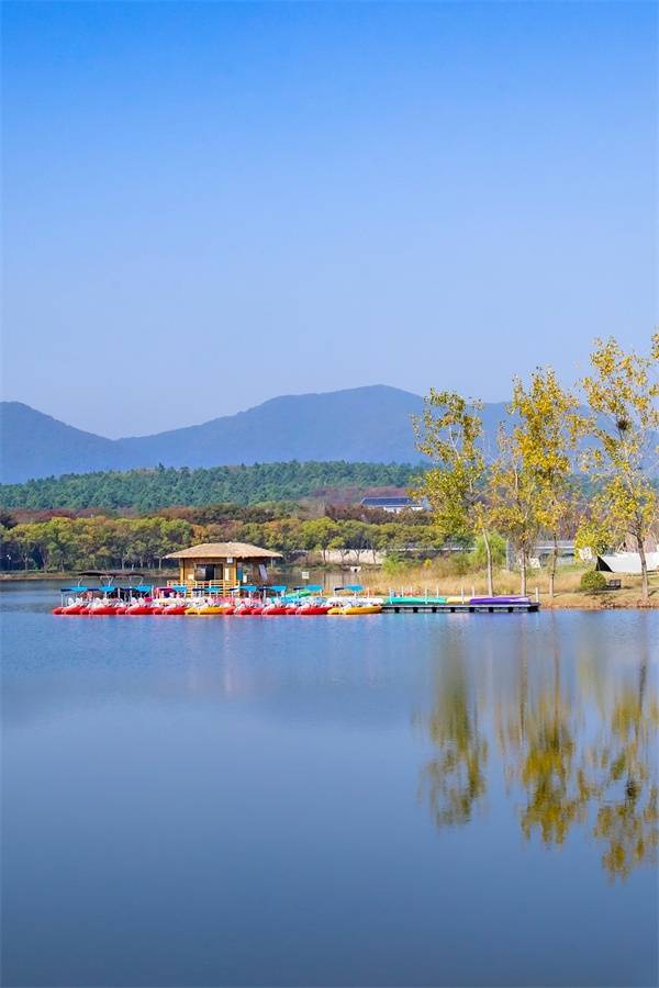 视觉江苏丨常州曹山:深林染醉 秋色丰盈_车保华_秋叶_画卷