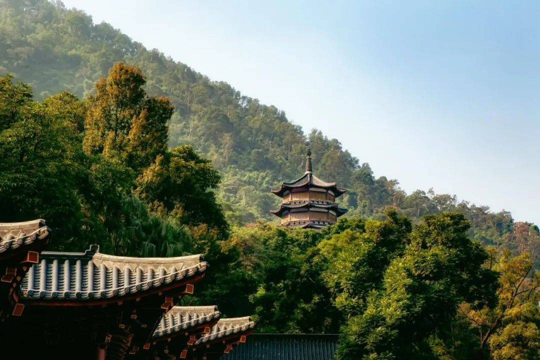 这位明星来江门了!带你揭秘同款打卡地→_夏雨_杜阮镇_先生