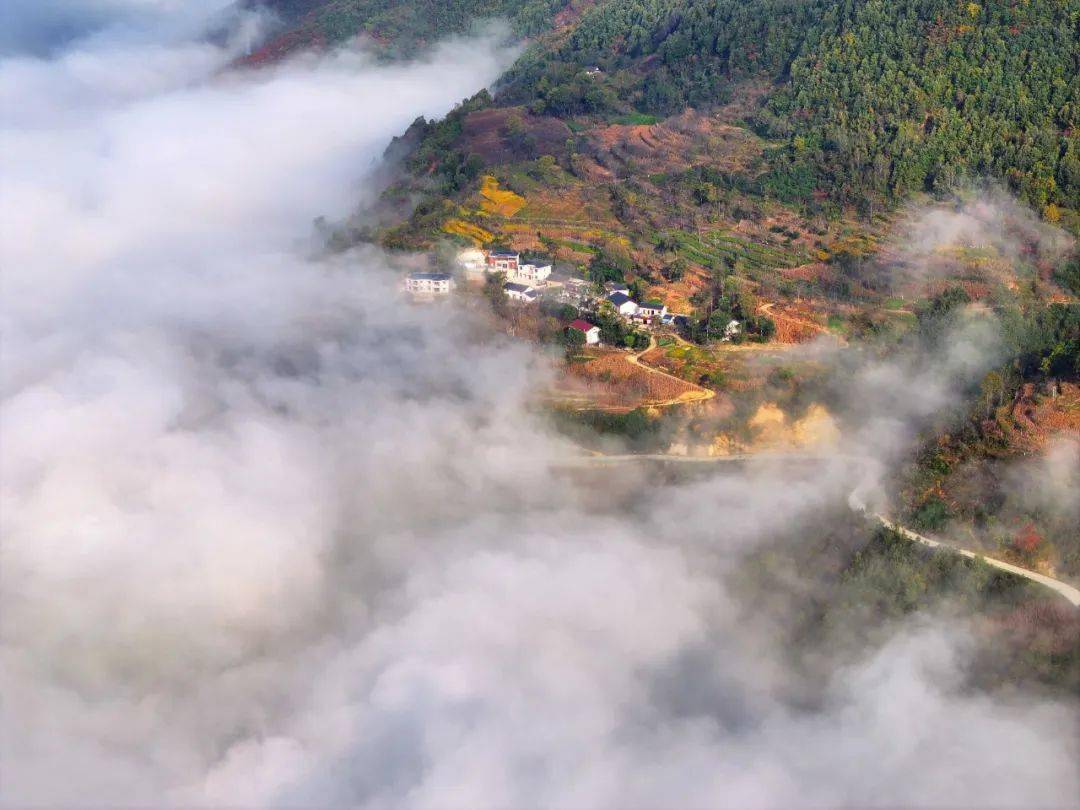 镇安海棠山,这里云海频现,景色如画.
