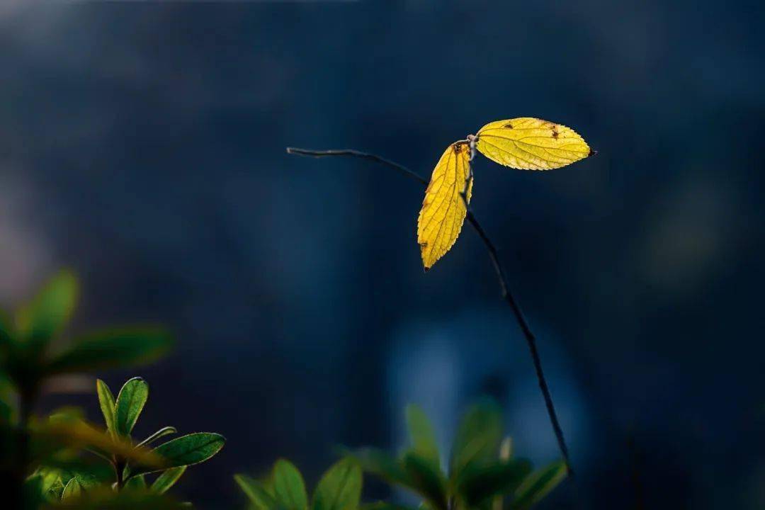 坦然的人生!(最美)_生活_祝福_什么