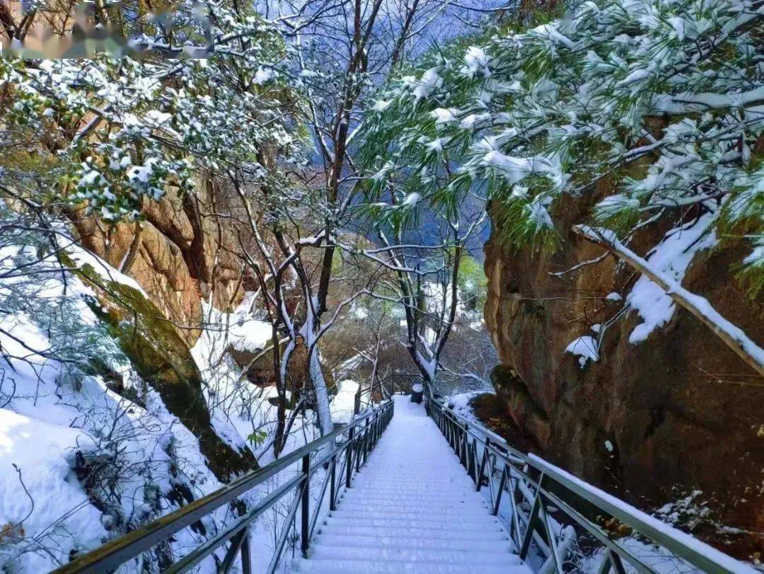 下雪了!鸡峰山开启雪景刷屏模式