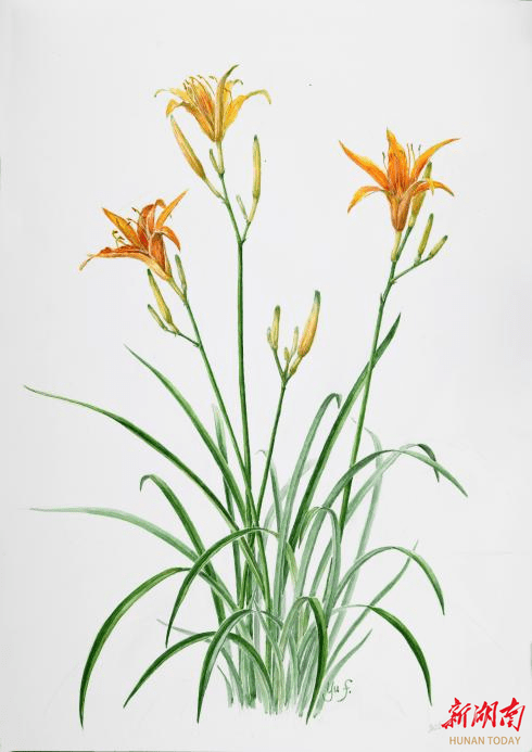 首次讲清!上海博导这篇事关邵东的"千字文"被刷屏