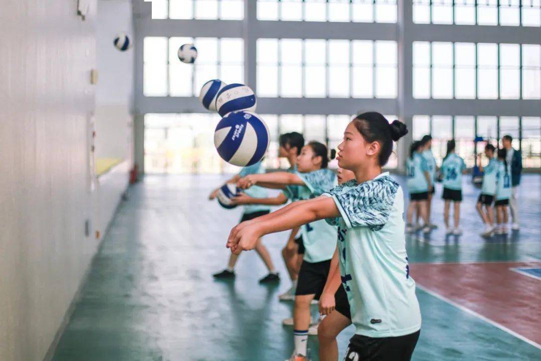 台山东晖小学介绍图片